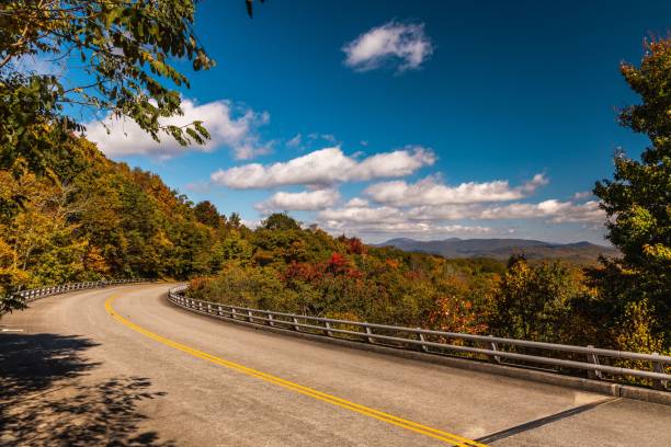 istock Closeup of a road surrounded by trees with a blue sky background 1417874150