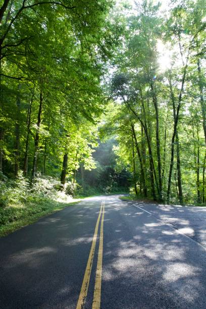 istock Car road in the nature 1417874395