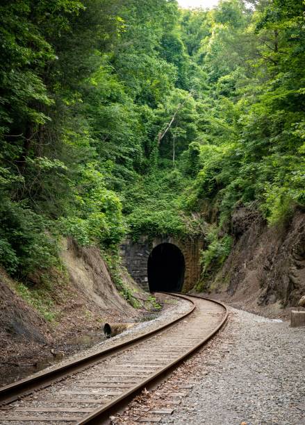 istock Railway tunnel in the nature 1417874407