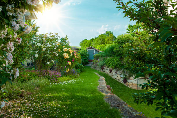 jardin résidentiel au soleil. aménagement paysager dans le jardin de la maison, bel aménagement paysager dans la cour arrière en été. beau jardin privé en pleine floraison. bel aménagement paysager dans la cour arrière avec parterre de fleurs. - jardin classique photos et images de collection