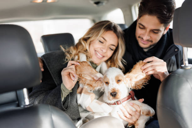 istock Happy couple having fun with dog on road trip 1417878064