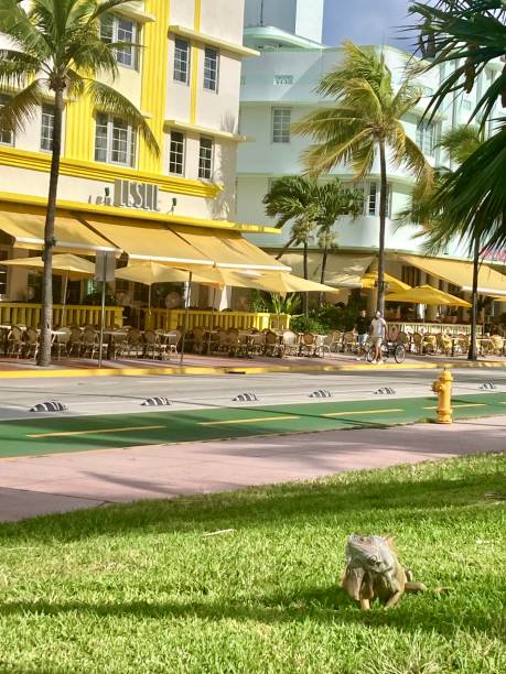 istock USA - Miami - Miami beach - ocean drive 1417883172