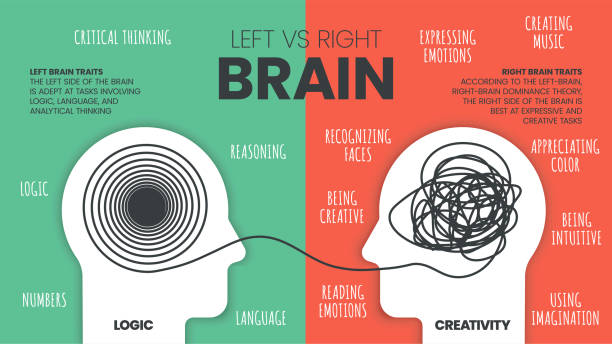 istock Left Brain vs. Right Brain Dominance infographic template. How the human brain works theory. Creative people right-brained and analytical thinkers left-brained concept.Visual slide presentation vector 1417884161