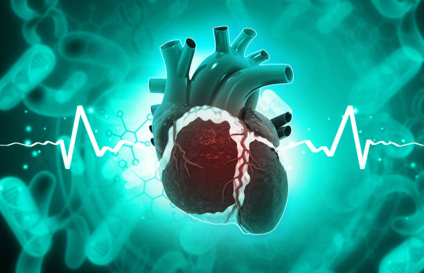 istock Human heart anatomy with ecg graph 1417886317
