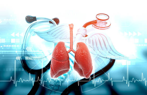 istock Human lungs on medical background 1417888101