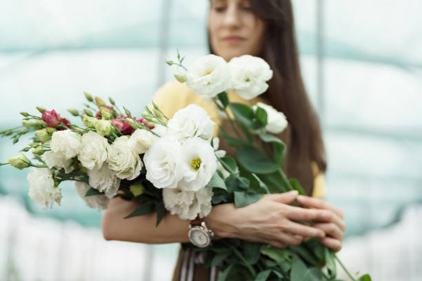 Fresh beautiful flowers bouquet in women hands stock photo