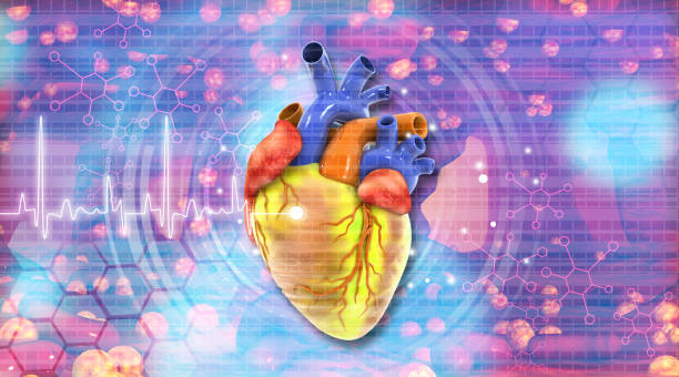 istock Human heart anatomy with ecg graph 1417889157
