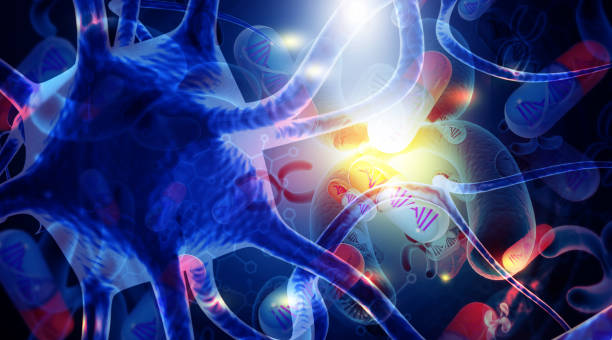 istock Nerve cells in the human brain 1417890932