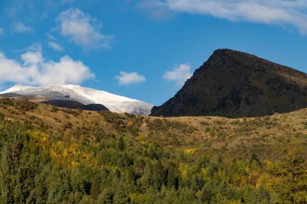 istock Green trees on the field near the mountain 1417892086