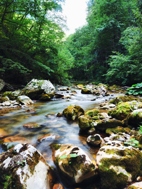 istock Long exposure of mountain stream flowing through mossy rocks 1417892303