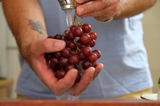 istock Vegan food 1417893714