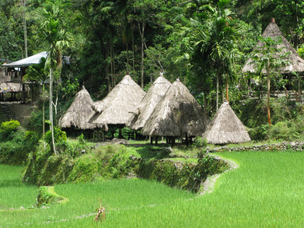 istock View of village and rice terraces 1417894567