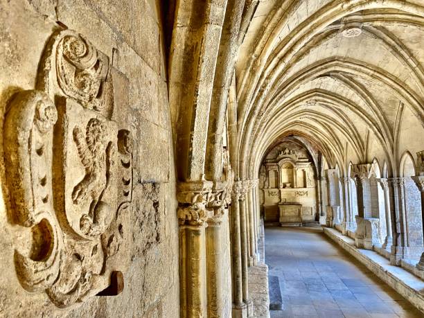 la galleria meridionale dei chiostri della chiesa di st. trophime ad arles, in francia, ha archi a sesto acuto e volte intersecanti appoggiate su colonnette con capitelli fogliati ed è un patrimonio mondiale dell'unesco. - foliated foto e immagini stock