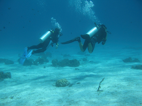 Scuba divers exploring in sea, Malapascua Island, Philippines.