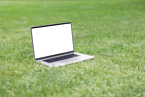 Modern Laptop with blank white screen on green grass