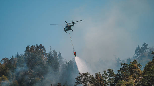 istock Firefighter helicopter and fire in the forest. 1417898815