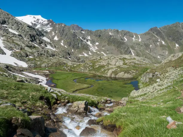 Top view of beautiful wetland with wild stream cascade, alpine mountain meadow called Paradies with lush green grass and snow capped mountain peaks. Stubai hiking trail, Summer Tyrol Alps, Austria.