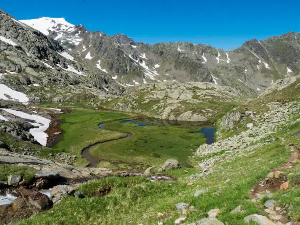 Top view of beautiful wetland with spring stream, alpine mountain meadow called Paradies with lush green grass and snow capped mountain peaks. Stubai hiking trail, Summer Tyrol Alps, Austria.