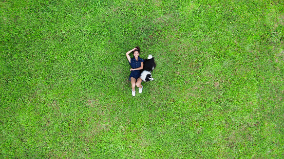 Aerial view of green park and there are woman with her dog pet border collie lying on grass