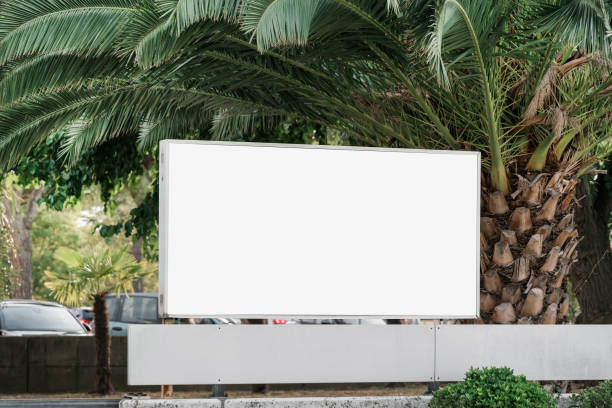 istock Announcement empty billboard mounted at city street under palm tree. 1417900838