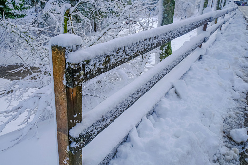 wooden fence covered with snow and winter forest in snow. Walking outdoors. Blizzard. Cold season