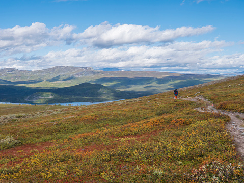 Lonely man hiker at Kungsleden hiking trail with Lapland nature with green mountains, river Lulealven, rock boulders, autumn colored bushes, birch tree and heath. Blue sky white clouds