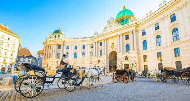 Hofburg Palace and horse carriage in Vienna old town, Austria Vienna, Austria - 10 May, 2022: Hofburg palace and horse carriage on sunny Vienna street hofburg imperial palace stock pictures, royalty-free photos & images
