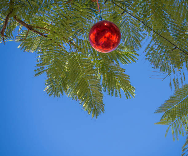 árvores de natal de verão. palmeiras tropicais, decoradas com vermelho bauble natal no fundo de tenerife, ilhas canárias, espanha, céu azul, espaço de cópia - christmas palm tree island christmas lights - fotografias e filmes do acervo