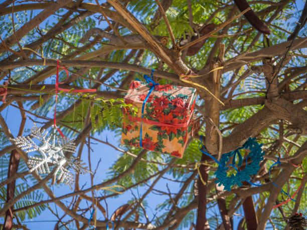 árvores de natal de verão. palmeiras tropicais decorado com enfeites coloridos e decorações para as festas. enfeites-de-rosa e caixa de presente, tenerife, ilhas canárias - christmas palm tree island christmas lights - fotografias e filmes do acervo