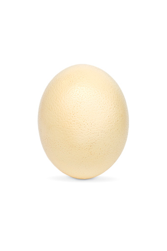 Image of ostrich egg isolated on white background.