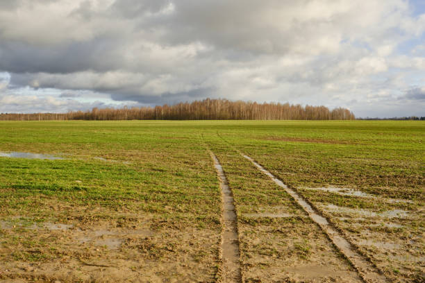 Puddle in the field. Broken road in the field. Track from the car in the field. Selective focus