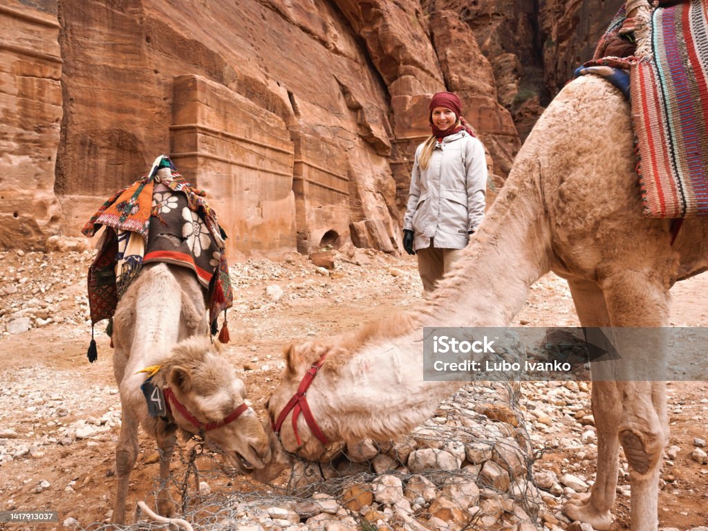Young woman standing next to two camels, there are lot of these animals in Petra, Jordan 30-34 Years Stock Photo