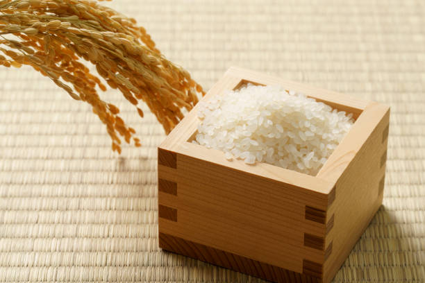 japanischer weißer reis auf tatamimatte - rice paddy rice food short grain rice stock-fotos und bilder