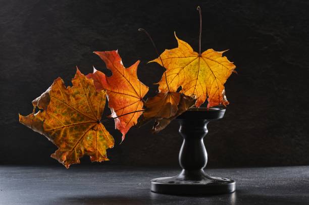 istock Multicolored maple leaves lie on the stand. 1417915135