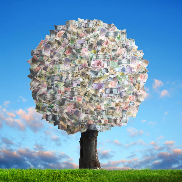 money tree of various global paper currencies on sunny and green landscape - wealth paper currency incentive money doesnt grow on trees imagens e fotografias de stock