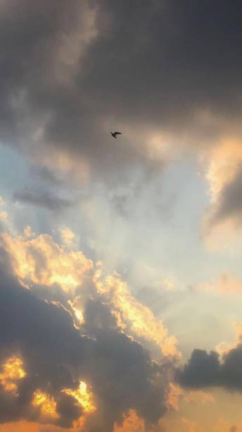 istock Golden color in the sky 1417917120