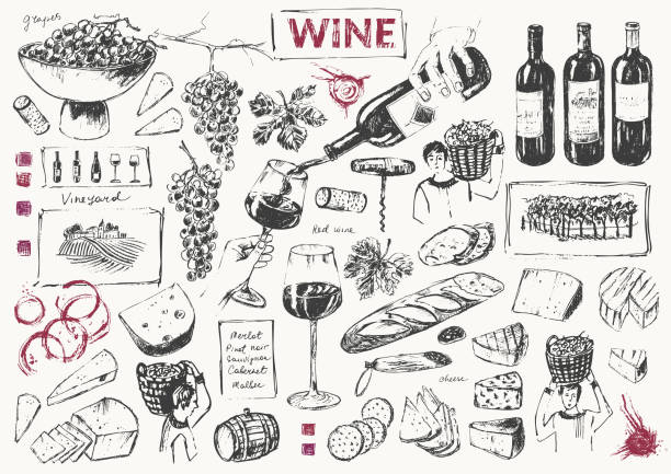 ilustraciones, imágenes clip art, dibujos animados e iconos de stock de conjunto de ilustraciones de vino dibujado a mano. - wine pouring wineglass white wine