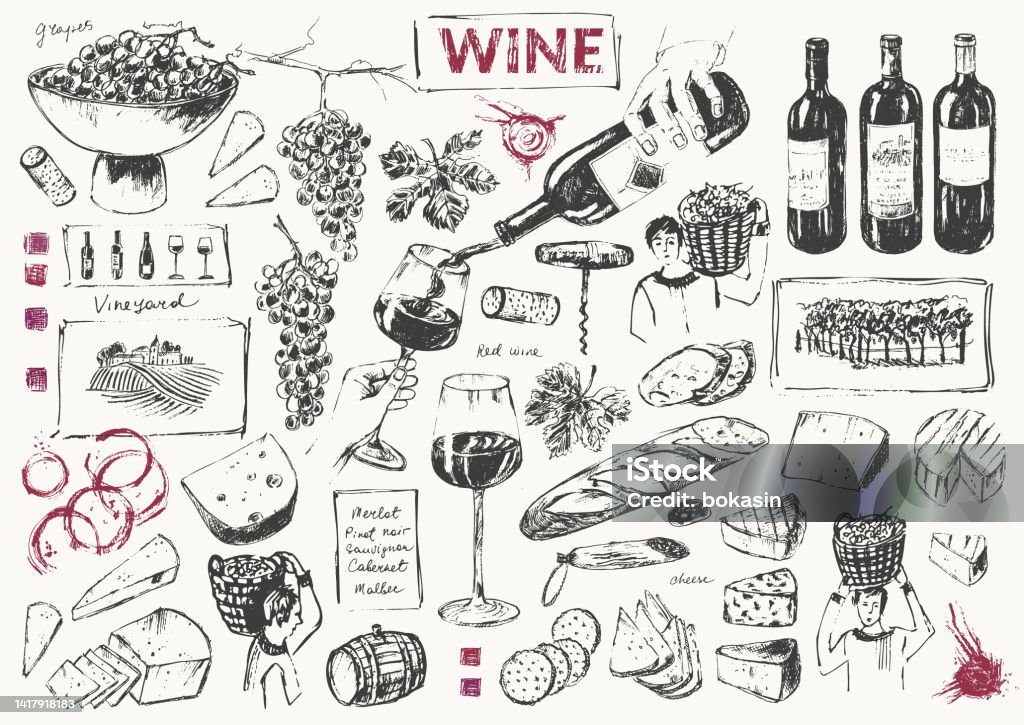Wine Drawing/design Hand Drawn Wine Illustration Set Stock Illustration - Download Image ...
