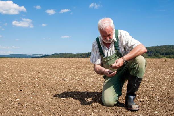 A farmer looks skeptically at his freshly sown field and thinks about next year's harvest stock photo