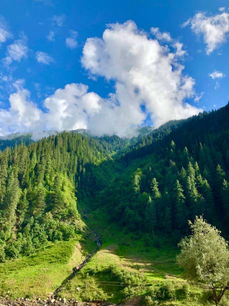 istock Beautiful landscape of mountains 1417919024