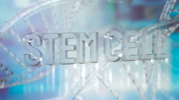 istock The  stem cell text on dna background for sci or medical concept 3d rendering 1417921733