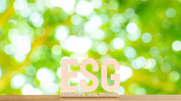 istock The esg wood text mean Environment  Social Governance 3d rendering 1417921888