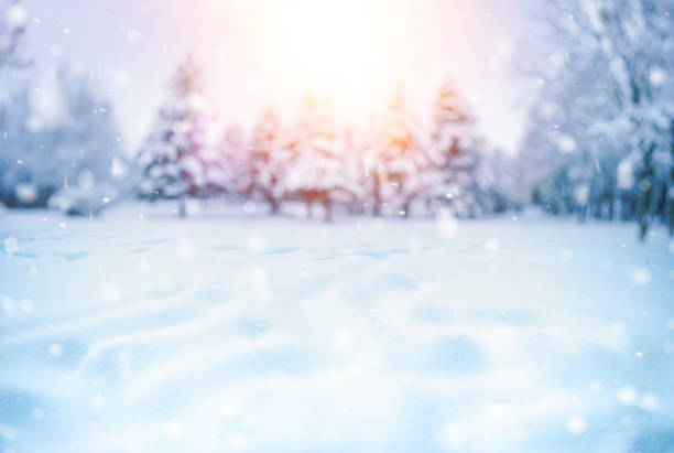 istock Beautiful natural defocused background image of winter forest and snowfall. 1417932335