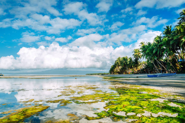 beautiful beaches on Siquijor island Philippines