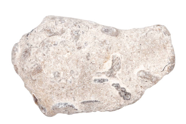 istock Top view of single gray pebble 1417947696