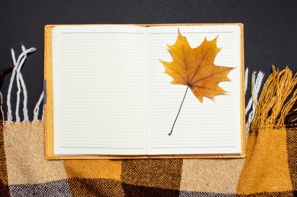 istock Opened notebook, yellow autumn maple leaf, orange brown checkered plaid on black background top view copy space. Autumn flat lay background. Autumn, fall, halloween concept. 1417948046