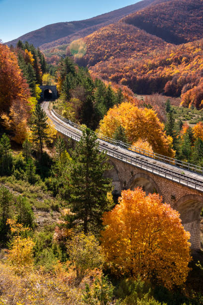 istock Railway with a tunnel on bridge passing in autumn forest in mountains 1417956216