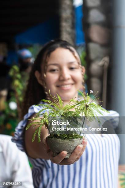 Latin Young Woman Showing Potted Plant Stock Photo - Download Image Now - Adult, Adults Only, Cheerful