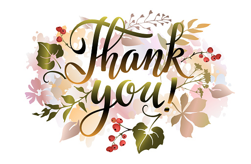 Thank you lettering phrase with autumn leaves. Thanksgiving element. Vector illustration.