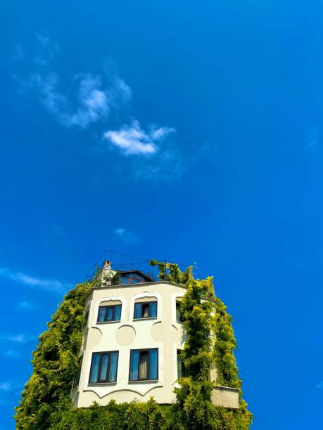 istock Building facade adorned with plant under blue bright sky 1417961001